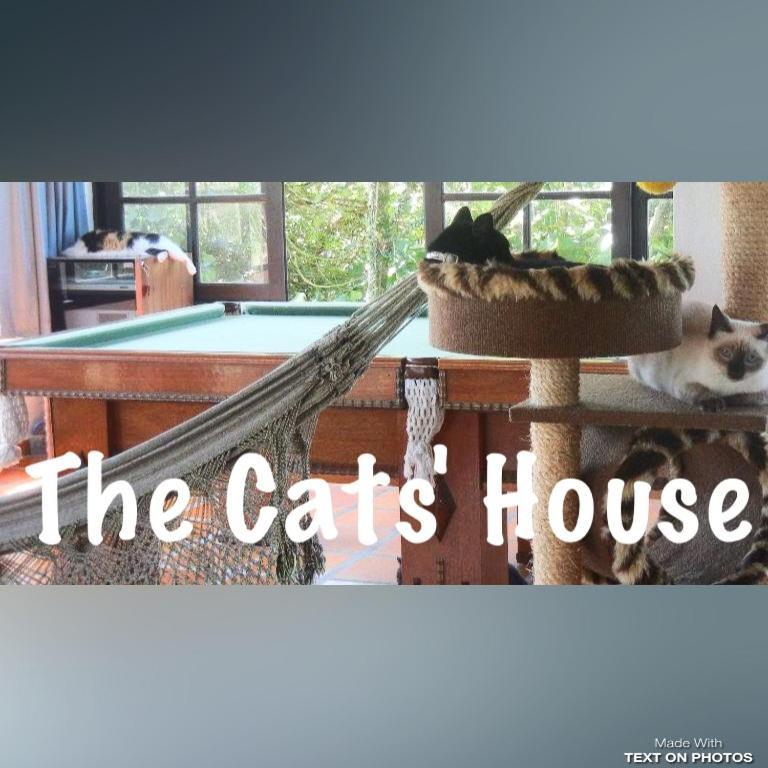 The Cats' House Hotel Florianopolis Exterior photo